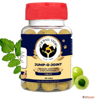 Bring Back Your Dog's Active Life