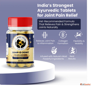 Bring Back Your Dog's Active Life