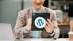 Website Design Development in Goa