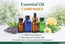 Top Essential Oil Companies Bulk Wholesale Essential Oils - ...