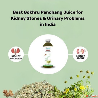 Best Gokhru Panchang Juice for Kidney Stones Urinary Problems in India