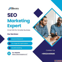Boost Your Business with the Best SEO Experts