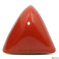 Buy Red Coral Stone Rashi Ratan Bhagya