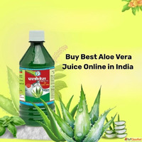 Buy Best Aloe Vera Juice Online in India Bharat Gram Udyog S...