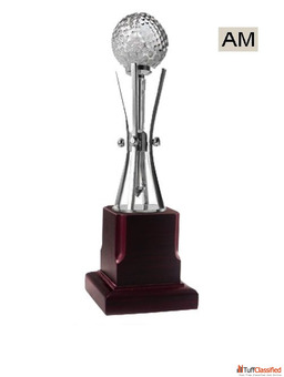 Delhi Trophy Store Custom Awards Plaques