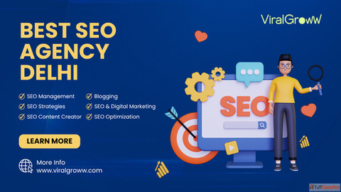 Best SEO Agency Delhi Proven Results Experts