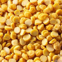 Chana Dal Suppliers in Chhattisgarh