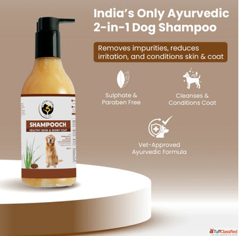 Clean Coat Happy Dog