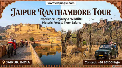Jaipur Ranthambore Tour