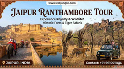 Jaipur Ranthambore Tour