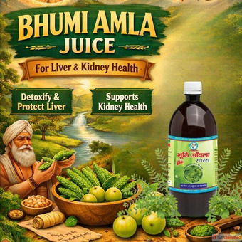 Buy Bhumi Amla Juice for Liver Kidney Health Bharat Gram Udyog Sangh