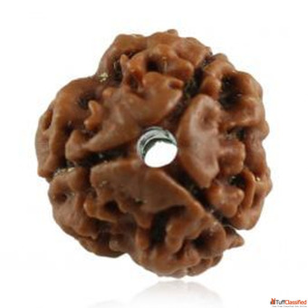 Teen Mukhi Rudraksha Rashi Ratan Bhagya