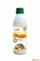 Kama International Organic Pvt Ltd