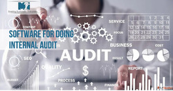 Efficient Software for Doing Internal Audit