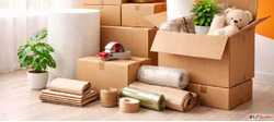 Top packers and movers in Noida