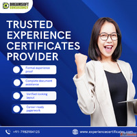 Experience Certificates Provider in Pune