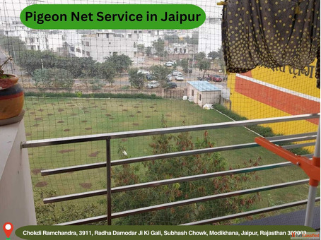 Expert Pigeon Net Service in Jaipur for Balcony Protection