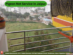 Expert Pigeon Net Service in Jaipur for Balcony Protection