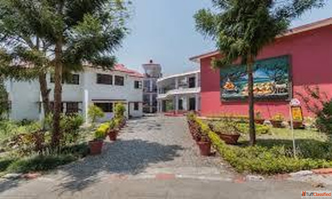 Top International Boarding School in Dehradun - The Pestle Weed School