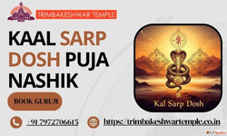 Kaal Sarp Dosh Puja Nashik - Trimbakeshwar Puja Booking