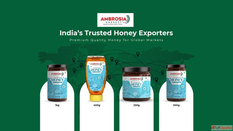 Buy Pure Honey at Wholesale Price in India