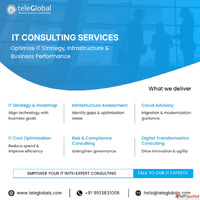 Expert IT Consulting Services for your Business