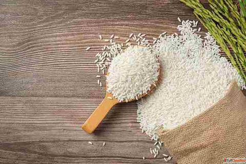 Best basmati rice suppliers in Jaipur