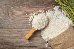 Best basmati rice suppliers in Jaipur