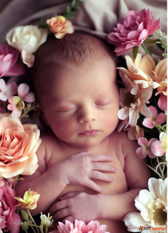 Welcome to the World Little One