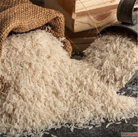 Best rice suppliers in Sangli