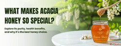 Buy Pure Acacia Honey Online - Best for Health Daily Use