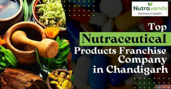 Nutraceutical Companies in Chandigarh