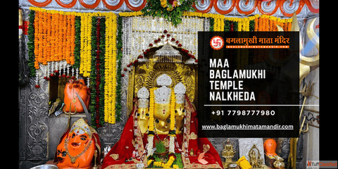 Maa Baglamukhi Temple Nalkheda Puja Cost Guide