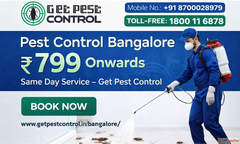 Affordable Pest Control in Bangalore 2026 - Cost Price List Expert Services