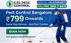 Affordable Pest Control in Bangalore 2026 - Cost Price List ...