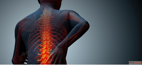 How to Choose the Best Spine Doctor for Effective Back Pain Treatment