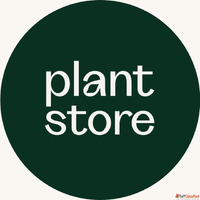Buy Lotus Tubers Online in India Premium Quality at Plant St...