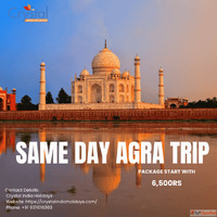 Taj Mahal One Day Tour From Delhi - Same Day Agra Tour
