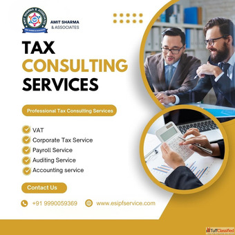 Professional Tax Consulting Services in India GST Payroll Auditing Experts