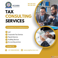 Professional Tax Consulting Services in India GST Payroll Au...