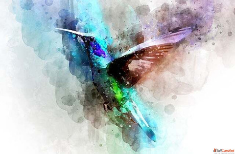 Where to Buy Authentic Giclée Prints Online in India