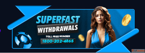 Cricash24 A Complete Digital Arena for Sports Engagement