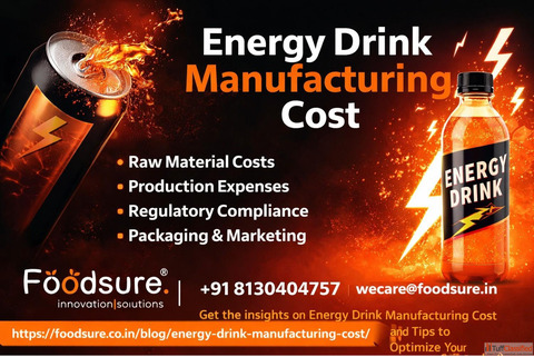 Energy Drink Manufacturing Cost Guide - Start Your Brand with Foodsure