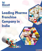 Top Pharma Franchise Company