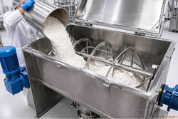 Horizontal Ribbon Blender