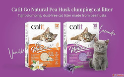 Best Clumping Cat Litter in India Vanilla and Lavender