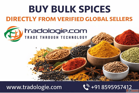 Top 10 Spice Exporters in India Verified Suppliers for Bulk Spice Trade