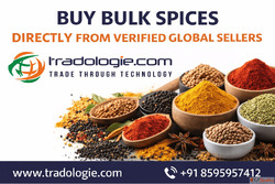Top 10 Spice Exporters in India Verified Suppliers for Bulk ...