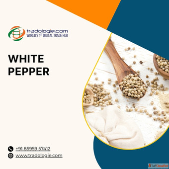 Buy Sell Bulk White Pepper - Global White Pepper Exporters Buyers Tradologie