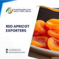 Buy Sell Bulk Apricot - Premium Dried Apricots Exporters Buy...
